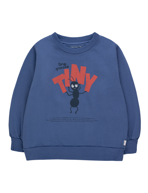 [TINY COTTONS]  TINY FORTIS FORMICA SWEATSHIRT  soft blue/red